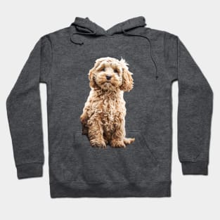 Cockapoo Cavoodle Labradoodle Cute Puppy Dog- Poodle x Hoodie